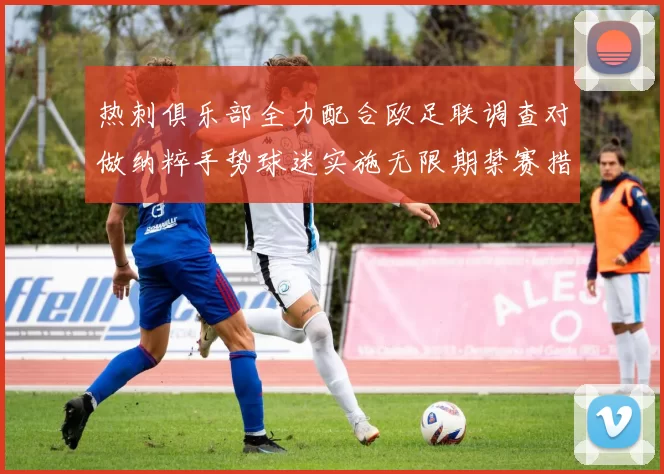 热刺俱乐部全力配合欧足联调查对做纳粹手势球迷实施无限期禁赛措施