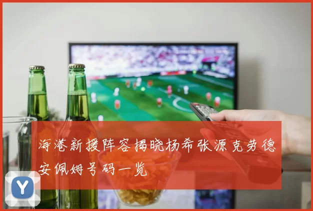 海港新援阵容揭晓杨希张源克劳德安佩姆号码一览