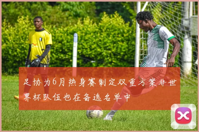 足协为6月热身赛制定双重方案非世界杯队伍也在备选名单中